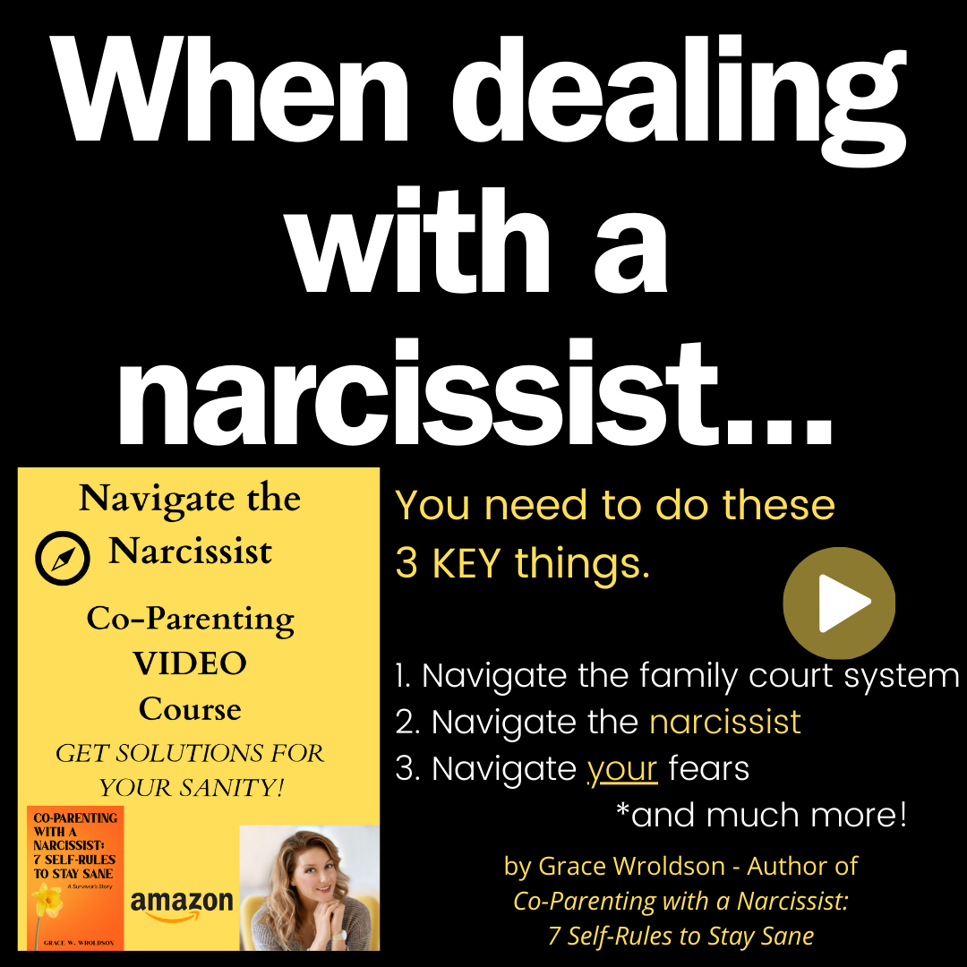 Navigate The Narcissist Video Course