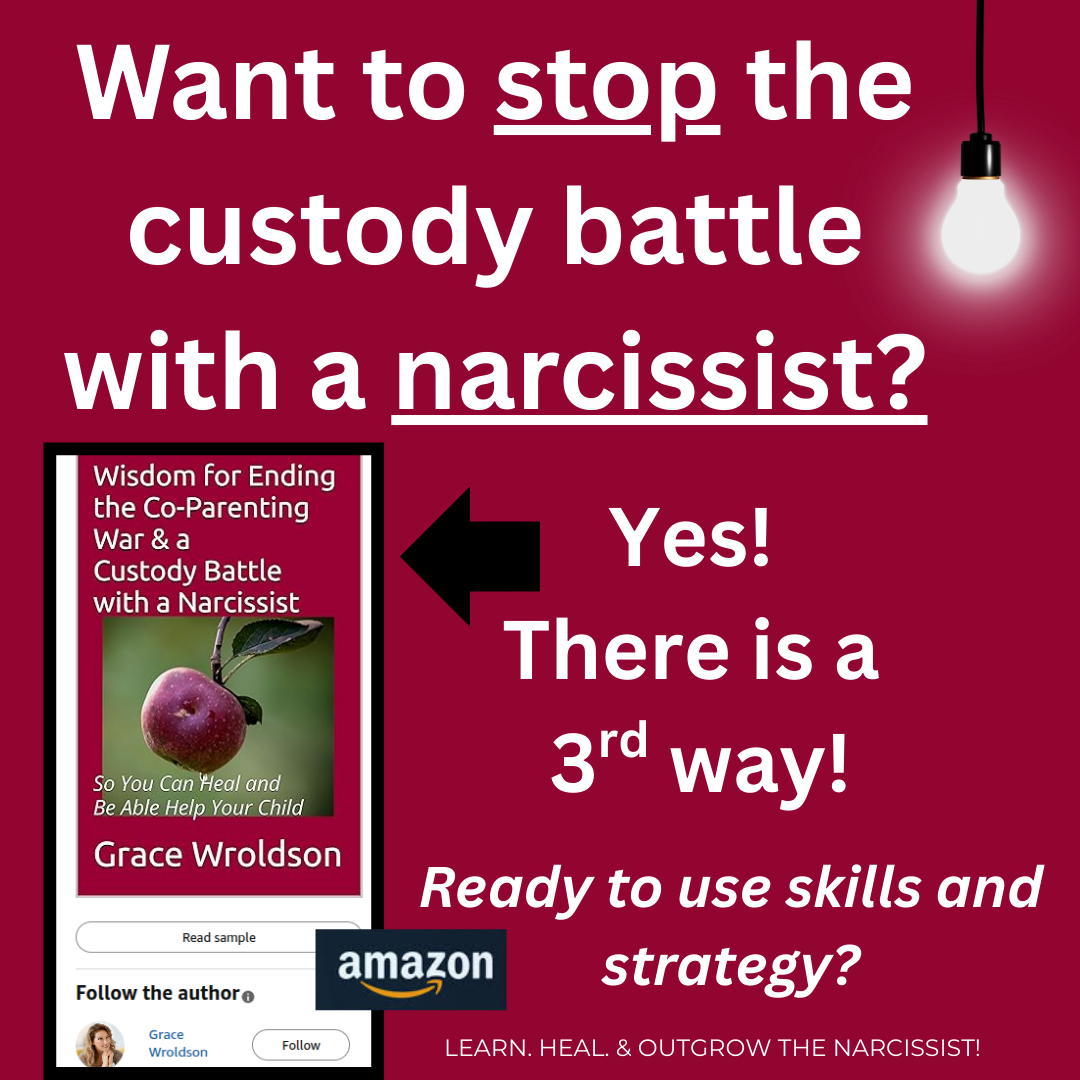 Want to stop the custody battle